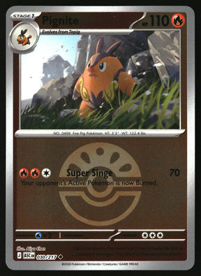 SortSwift stock scan