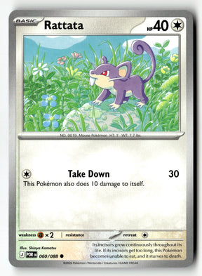 Rattata