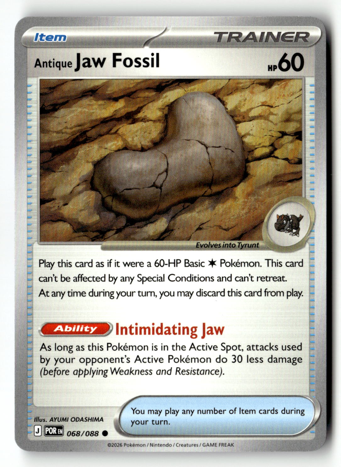 Antique Jaw Fossil