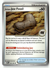 Antique Jaw Fossil