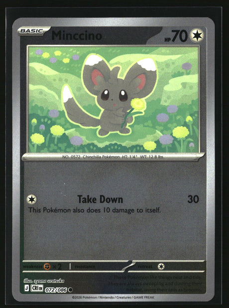 Minccino