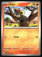 Litleo
