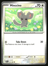 Minccino