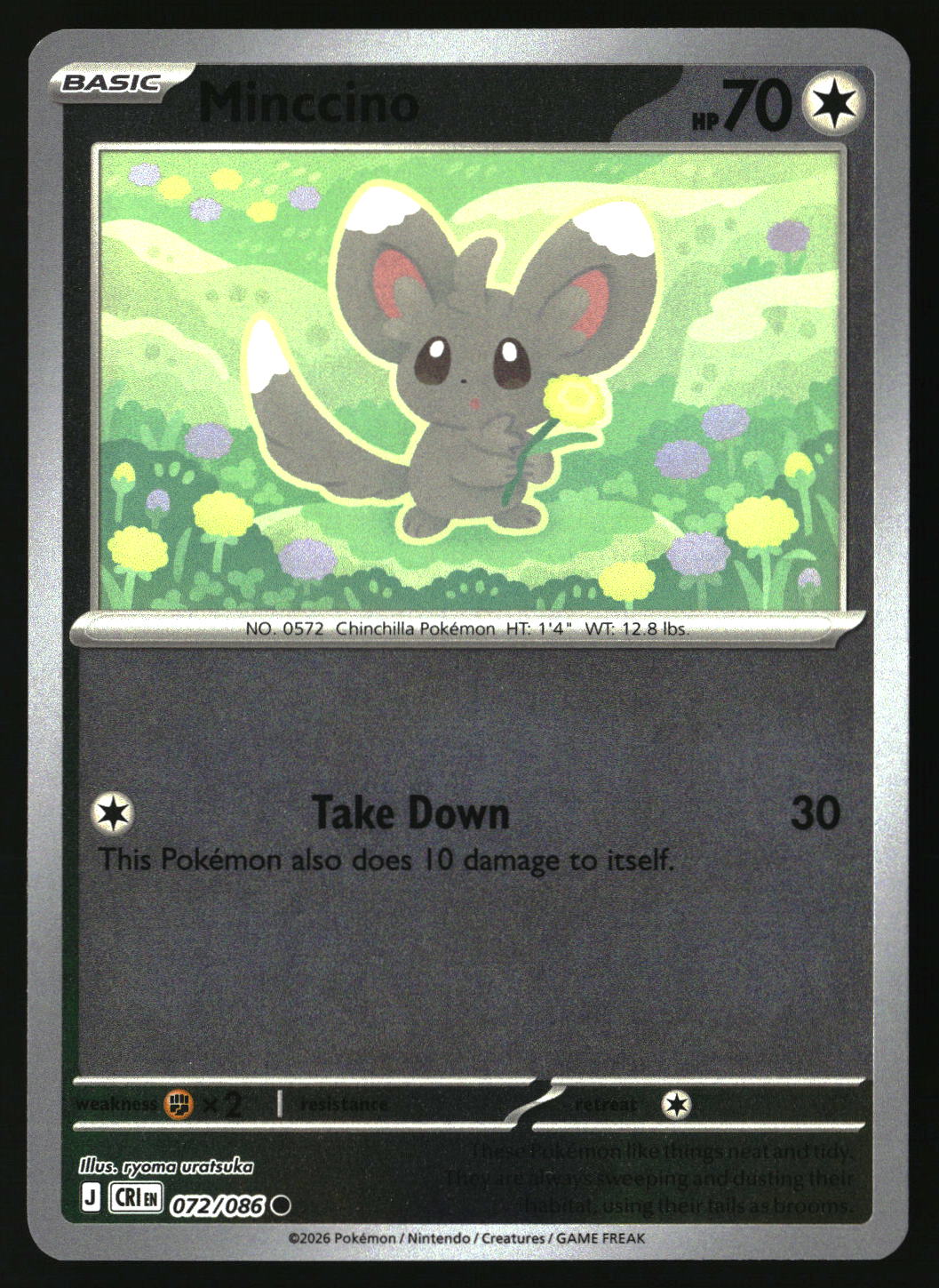 Minccino