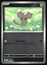 Minccino