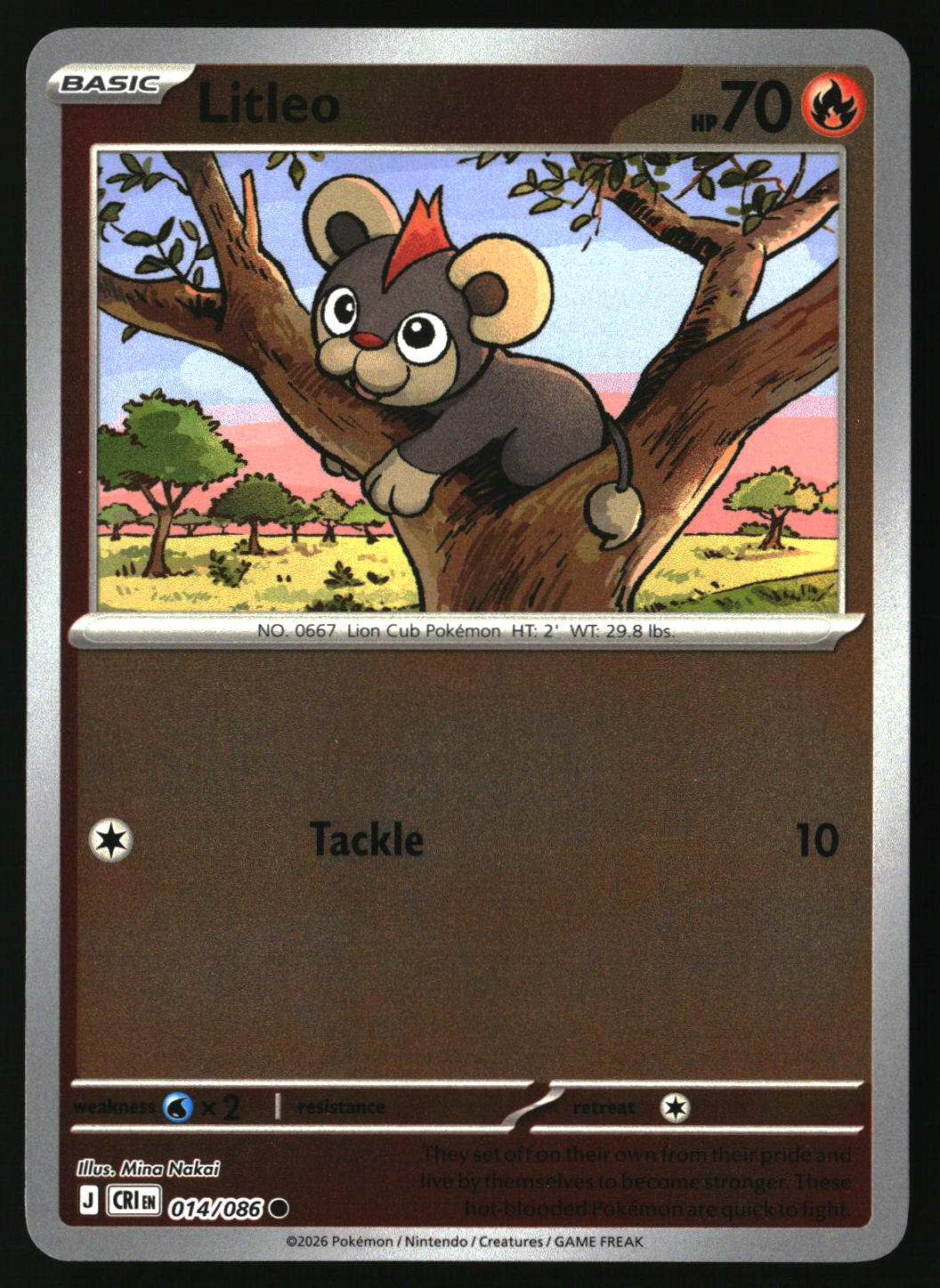 Litleo