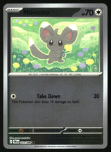 Minccino