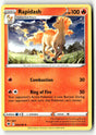 Rapidash