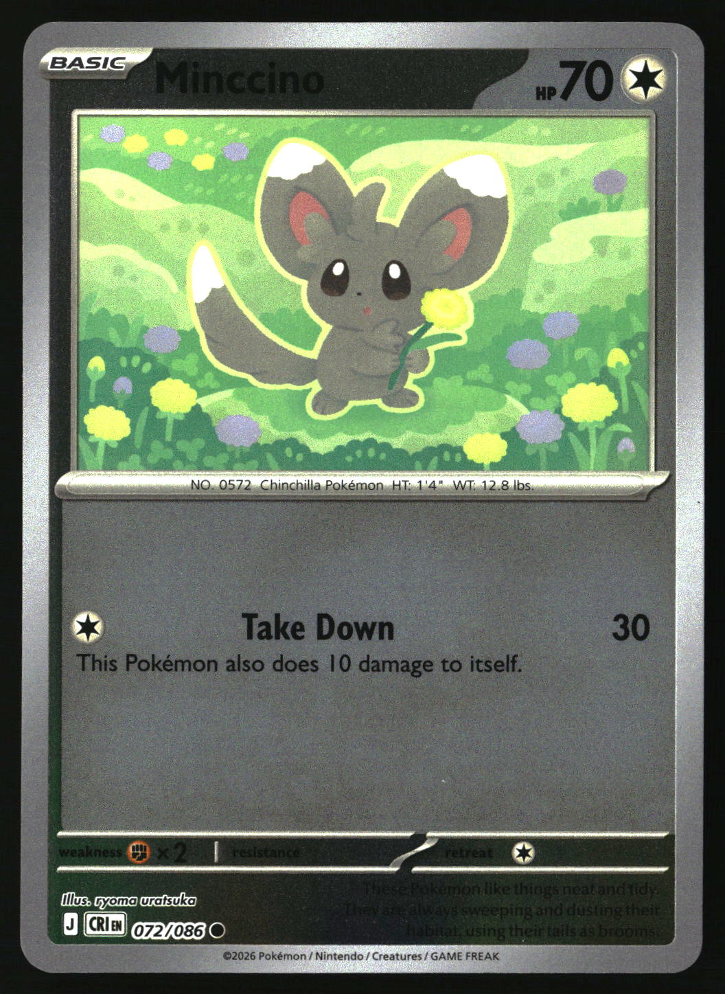 Minccino
