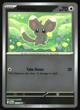 Minccino
