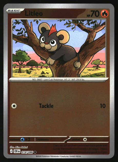 Litleo