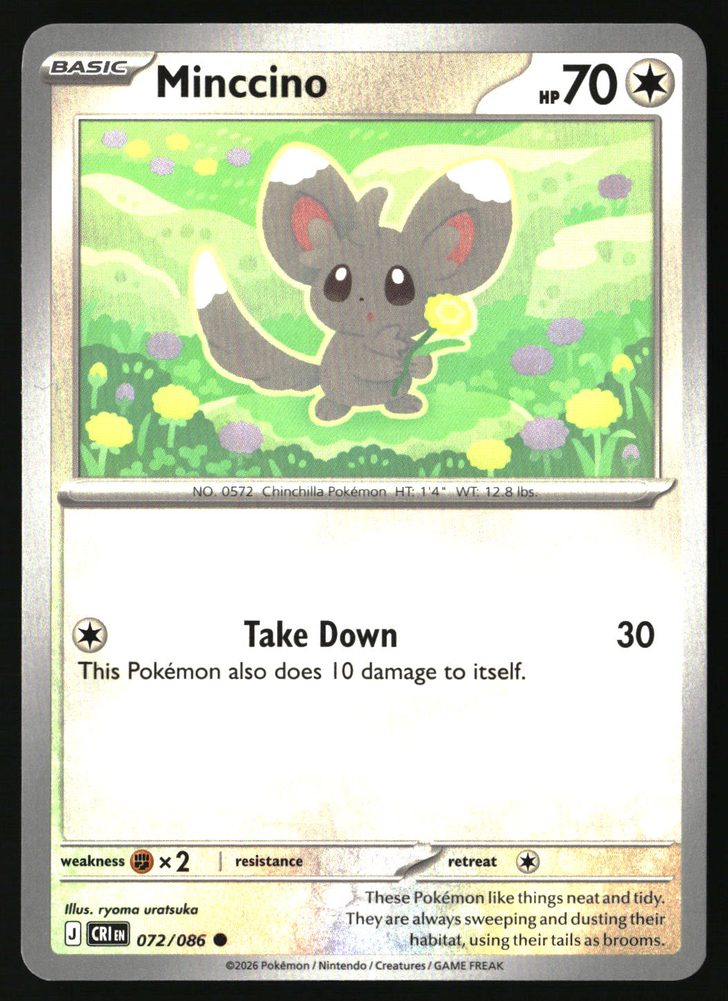 Minccino