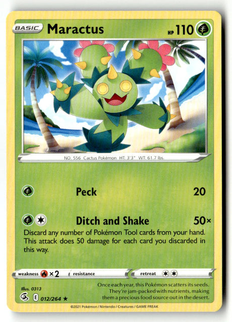 Maractus