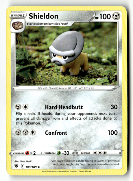 Shieldon