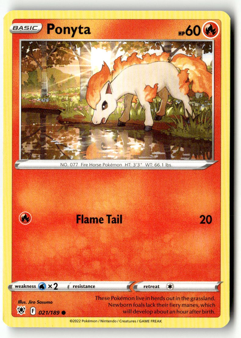 Ponyta