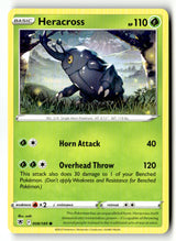 Heracross