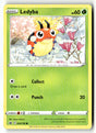 Ledyba