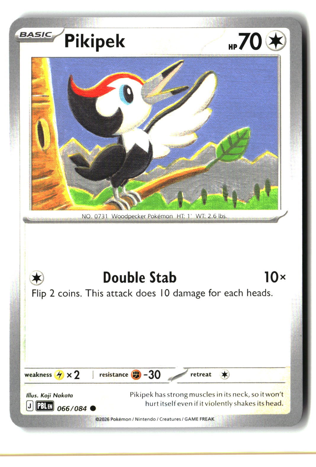 Pikipek